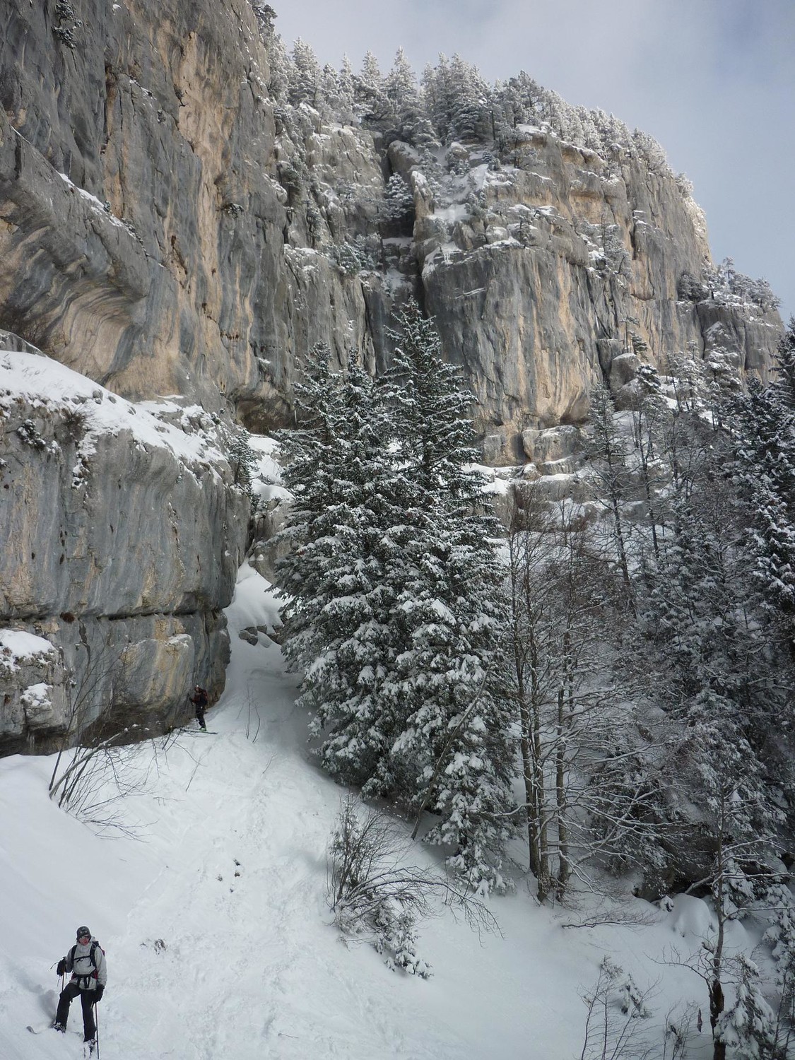 falaise jaune