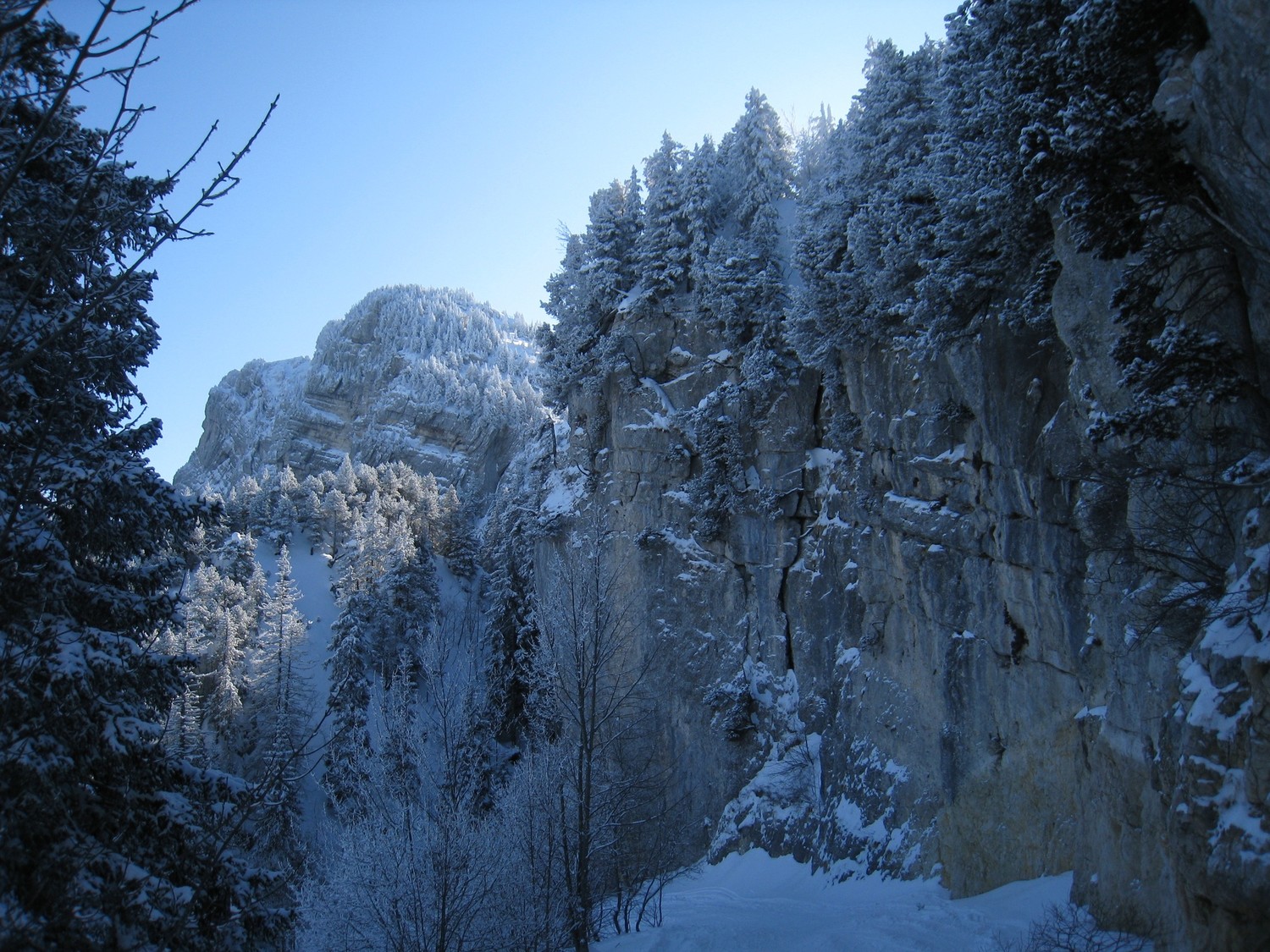 Sous les falaises, en montant