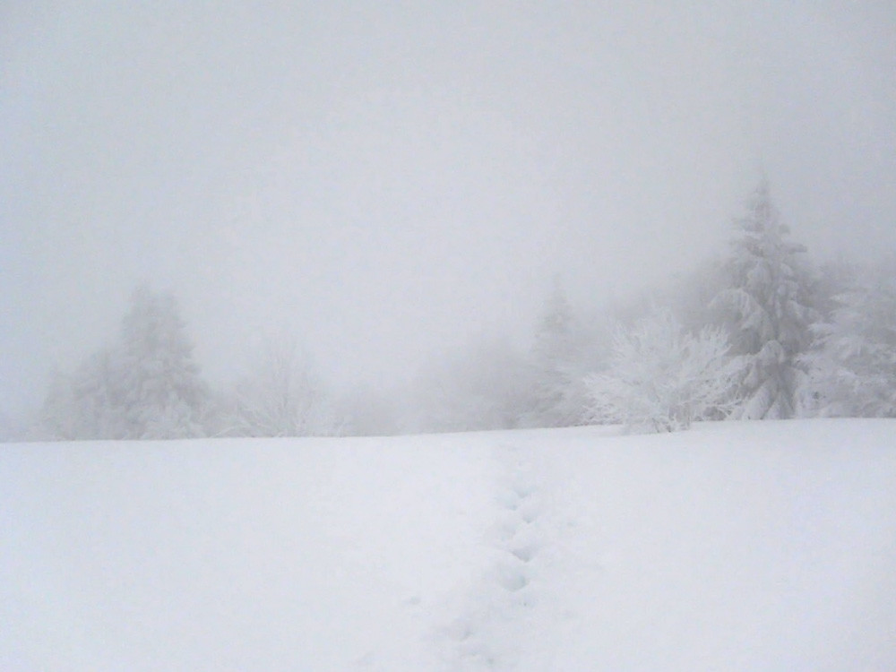 La Tête des Neufs Bois dans le brouillard