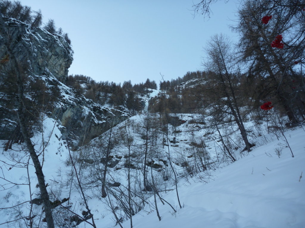 La quasi totalite de la cascade