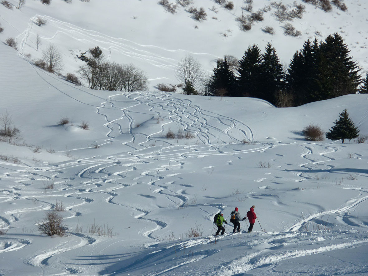 Descente