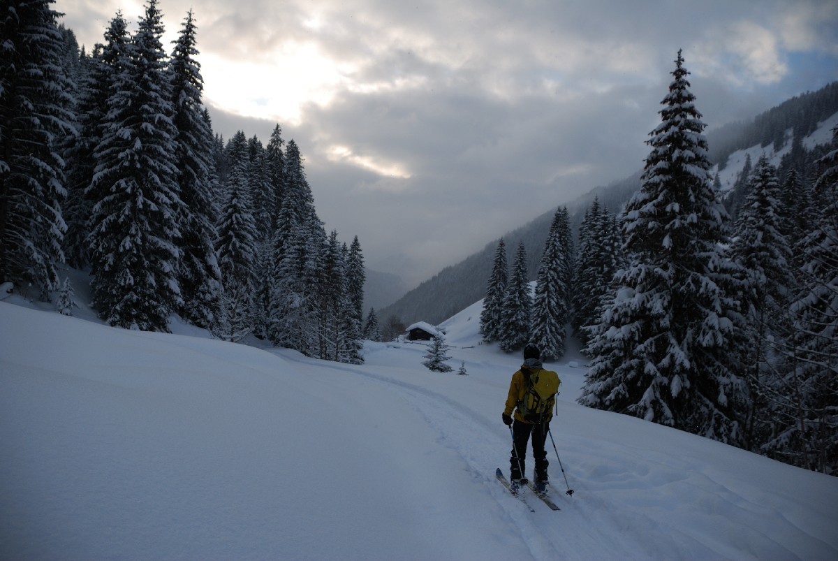 Retour dans le Vallon de Bise