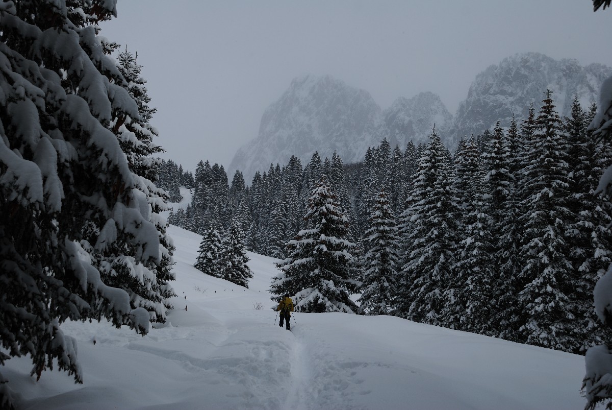 Remontée vers les Chalets d'Ubine, au fond le Mont Chauffé