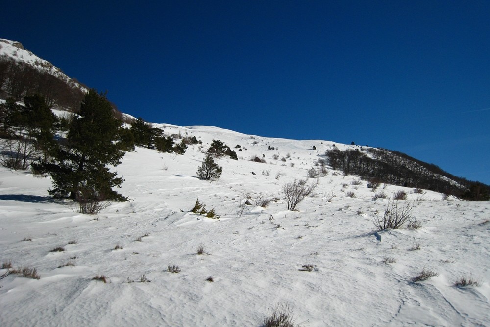 La Combe de la Grazonnière