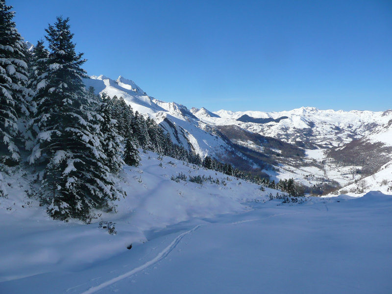 Dans la Combe de Bergouey vers 1600 m.