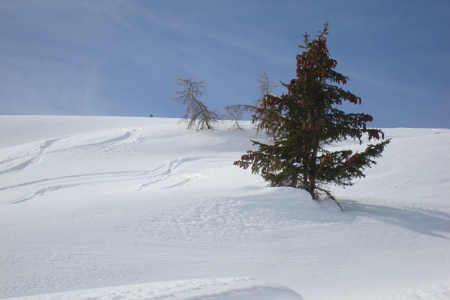 Montée