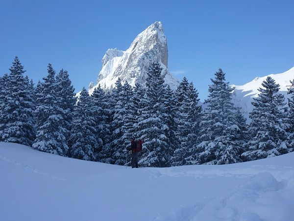 Salendo al Ruchbuel; vista del Widderalpstock