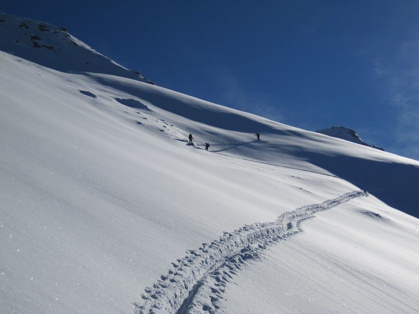 Trace en face NW de l'Albergian