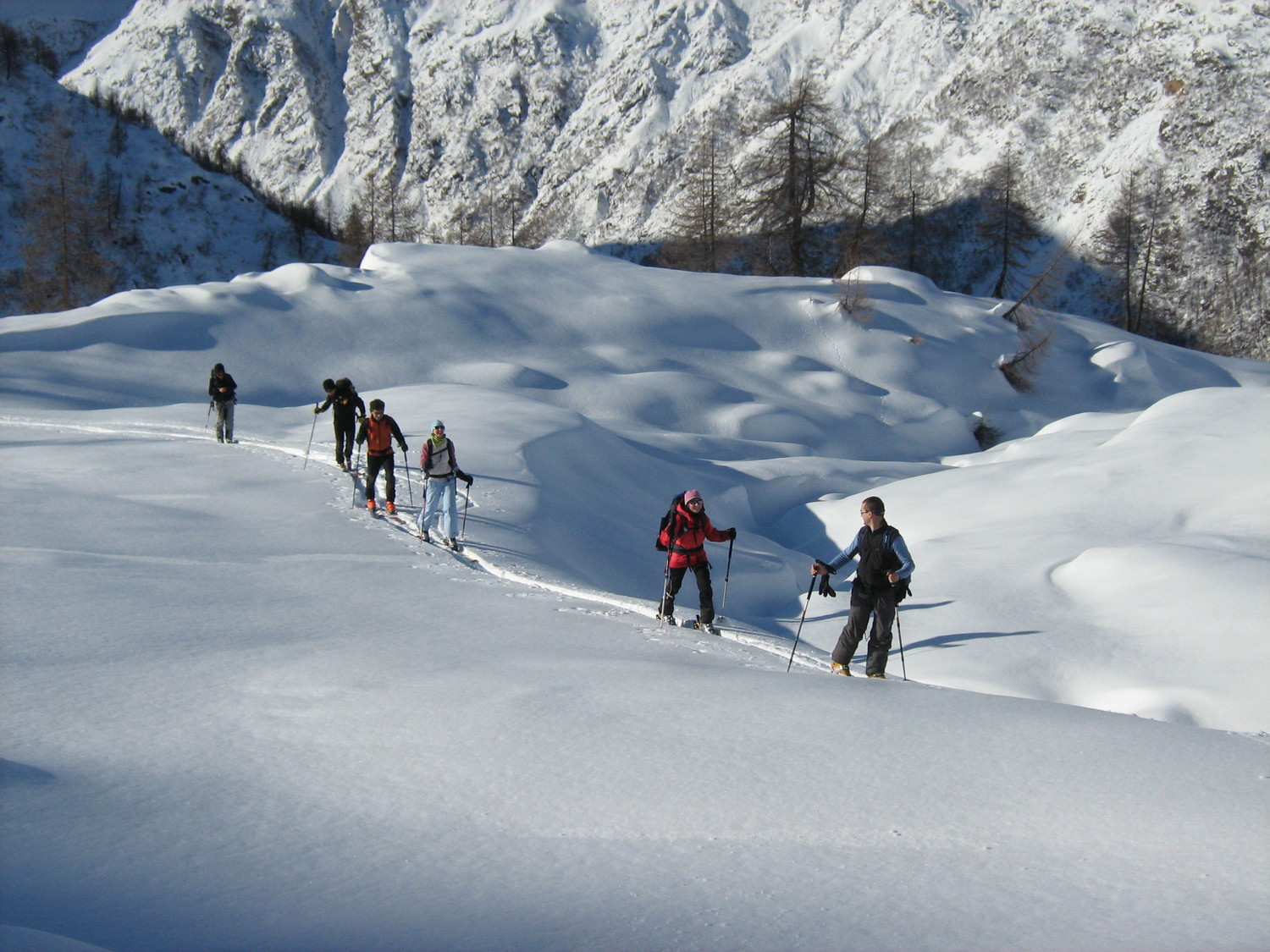 Il gruppo