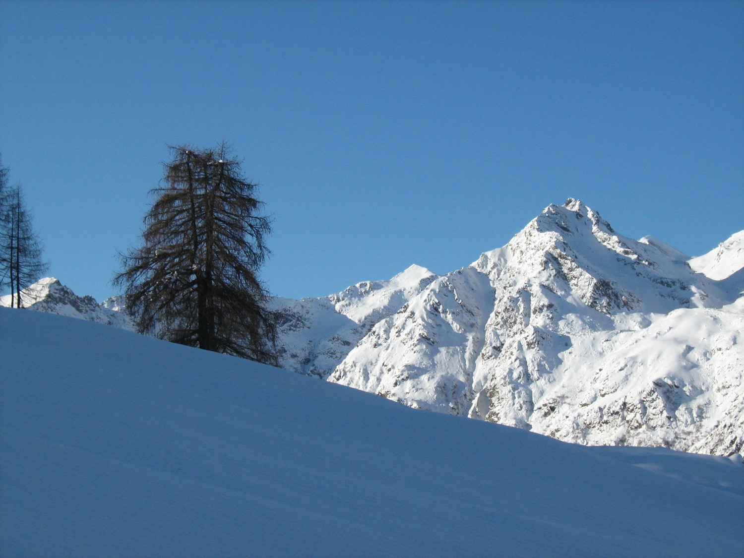 L'Artorto -cosa me ne hai fatte passare-