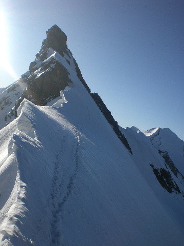 Cresta