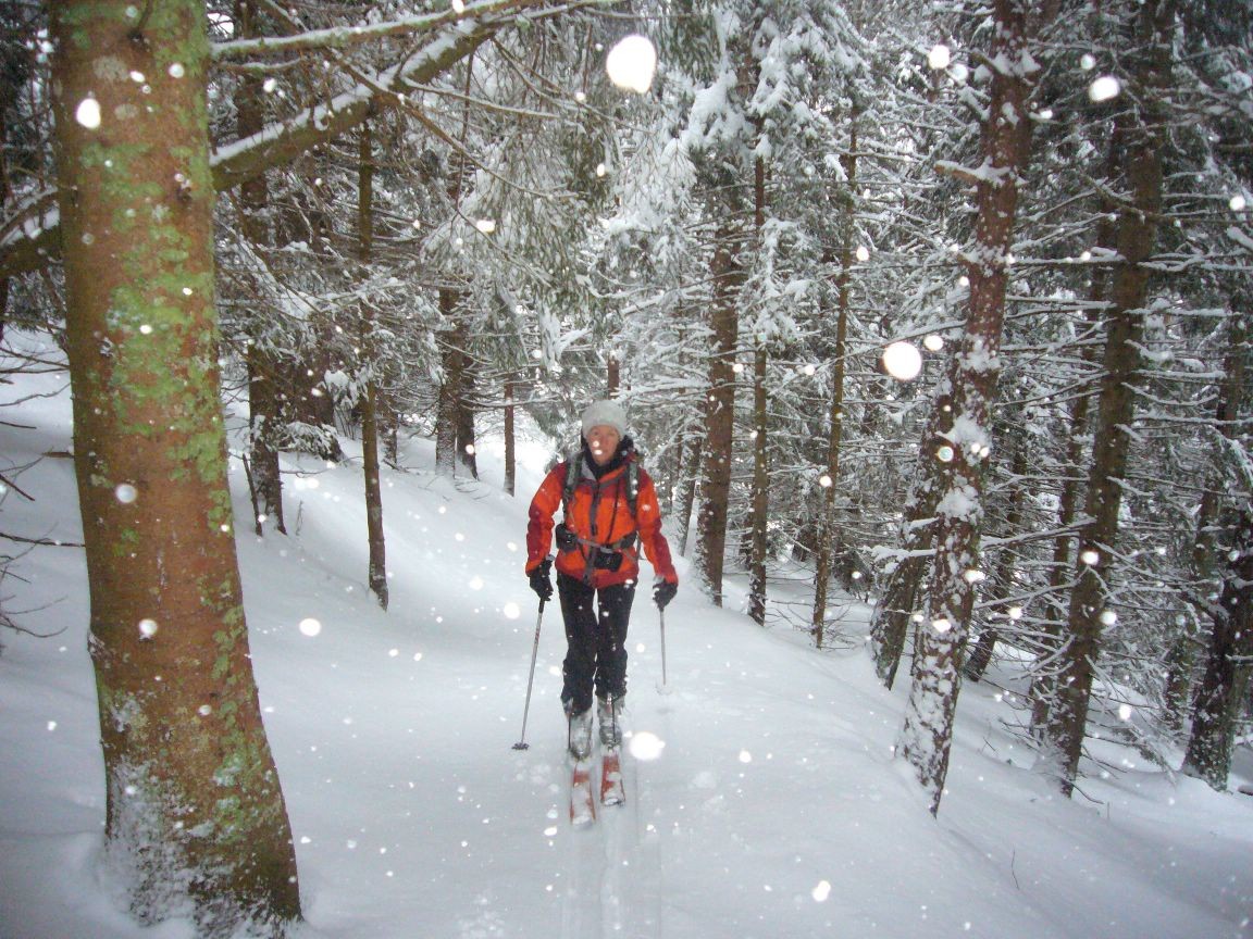 montée en sous bois