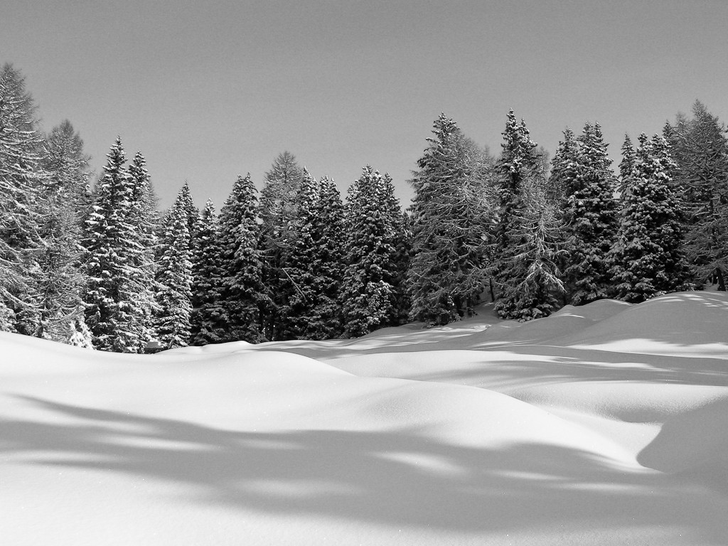 Début de l'alpage. Carte postale ?