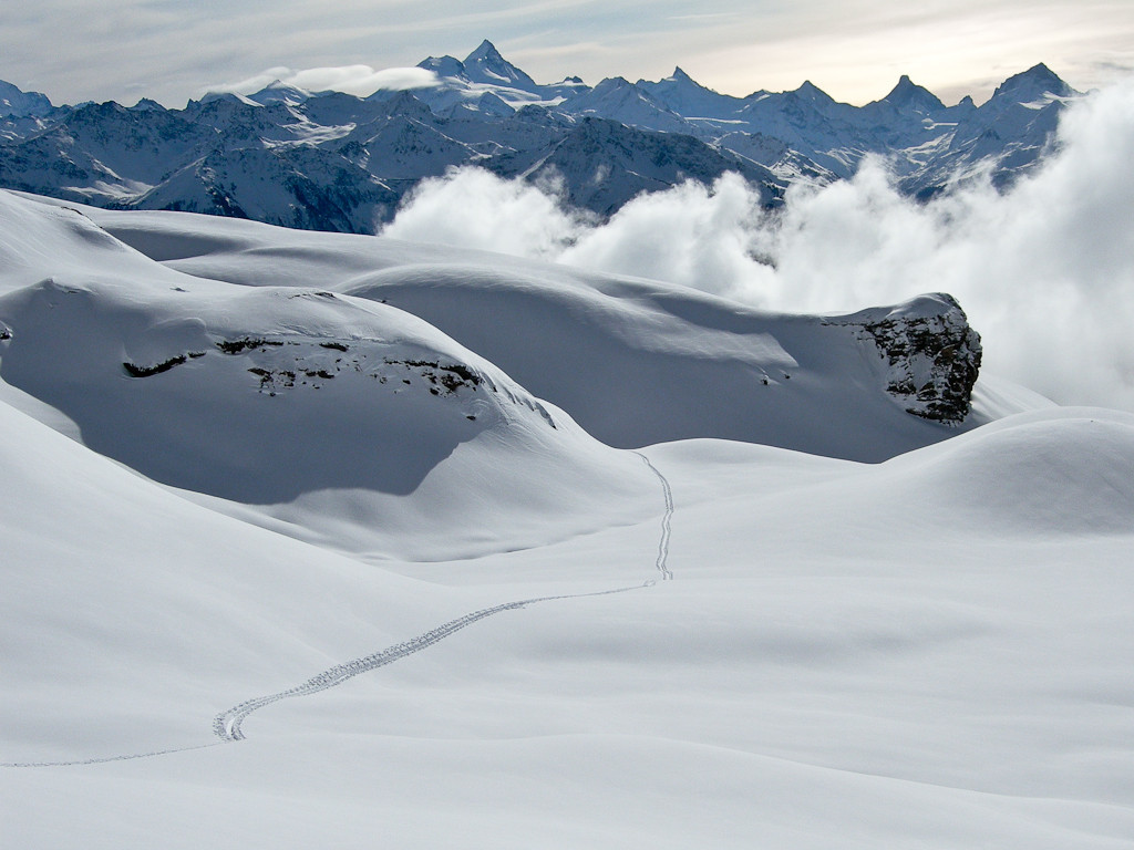 Trace dans la solitude...