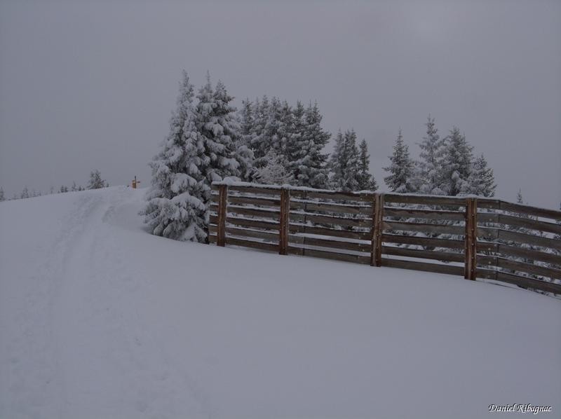 Le sommet (sur la gauche) et les paravalanches du Mont de l'Arpille