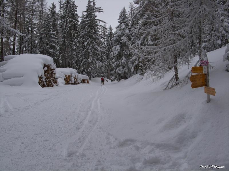 Grands Communaux, 1564m