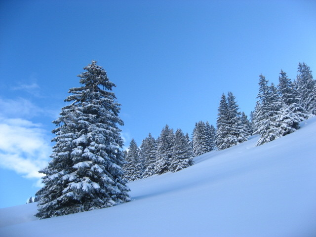 carte postale
