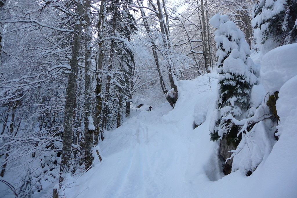 Beaucoup de neige