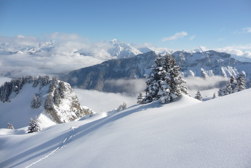 Paysage du coin