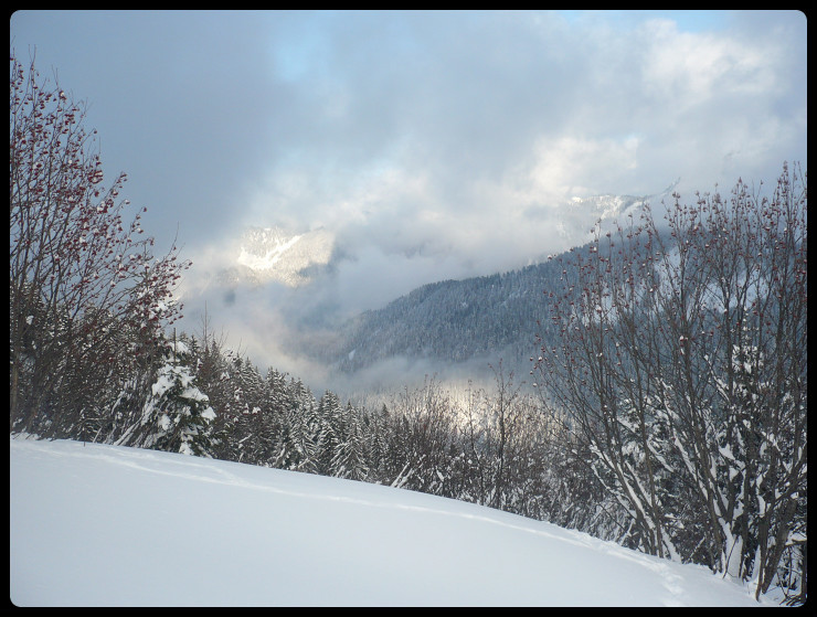 Le vallon prend quelques couleurs