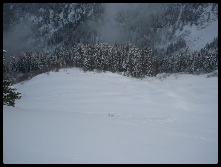 Une bonne partie de la face Est de la Tête des Follys: du bon ski mais on est vite dans la fôret!