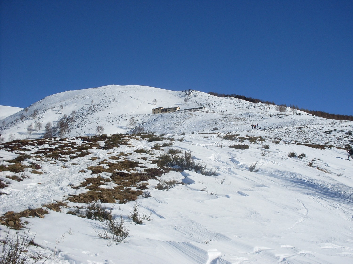 alpe musgatina