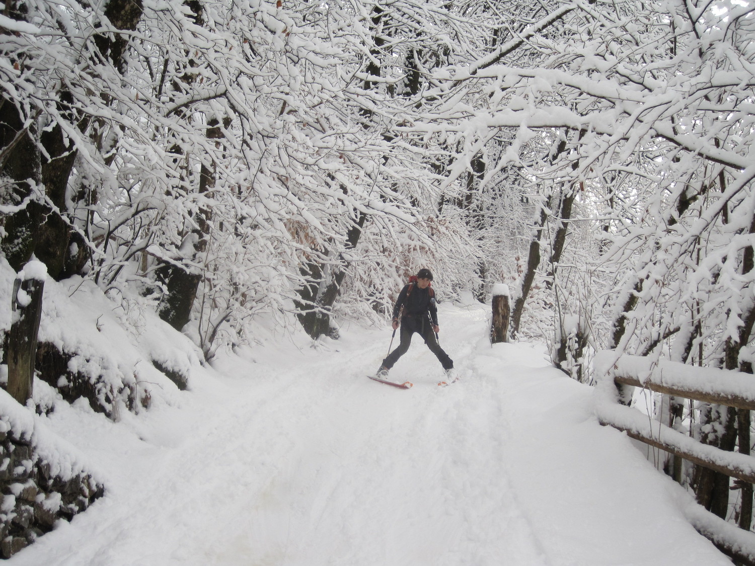 Neve recente del mattino