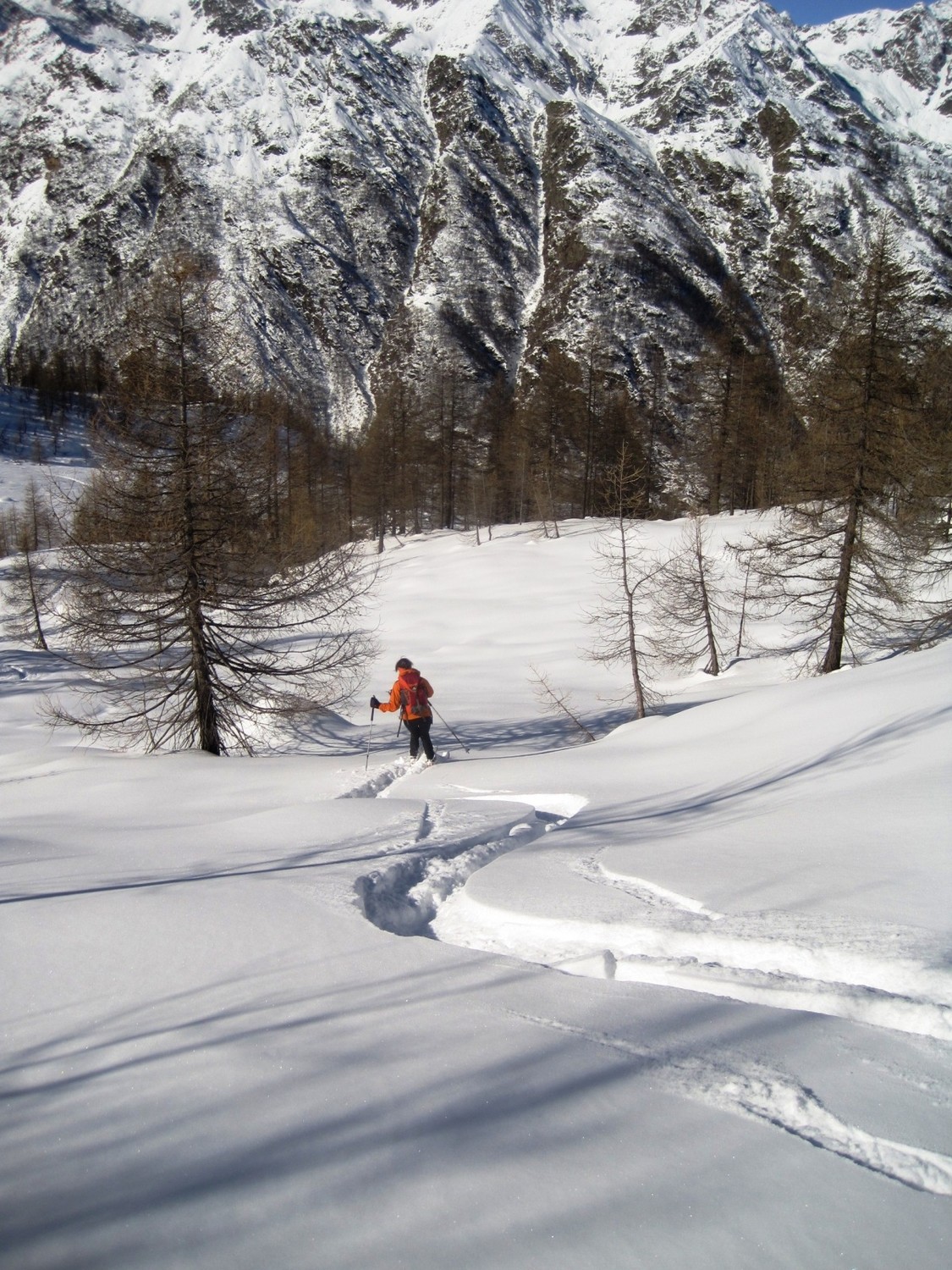 Verso l'Alpe Sorbella
