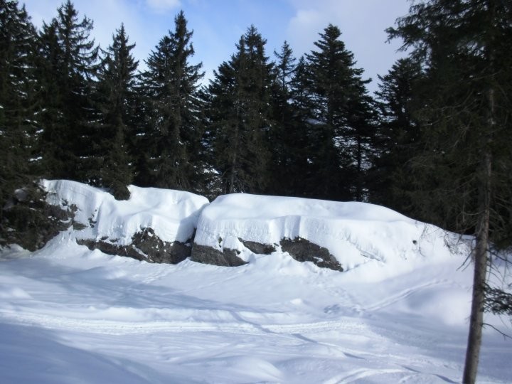 TANTA NEVE ANCHE QUESTO INVERNO