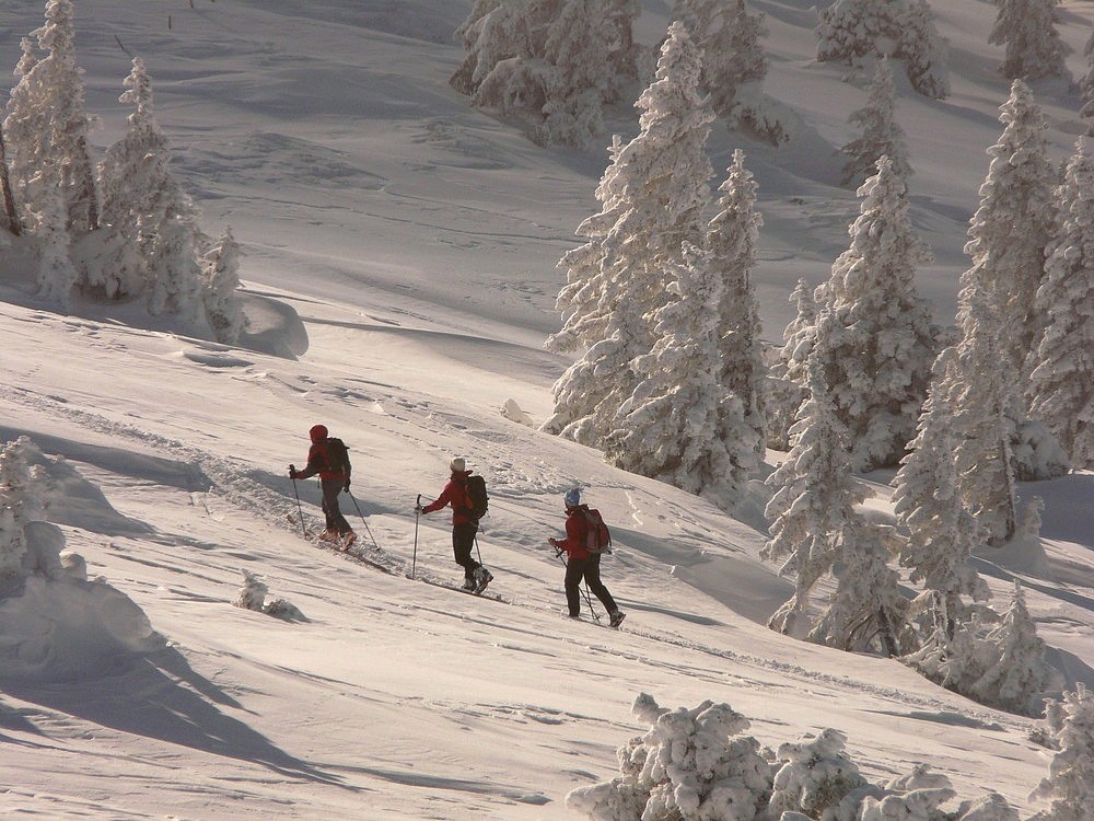 Montée sous le Grand Crêt