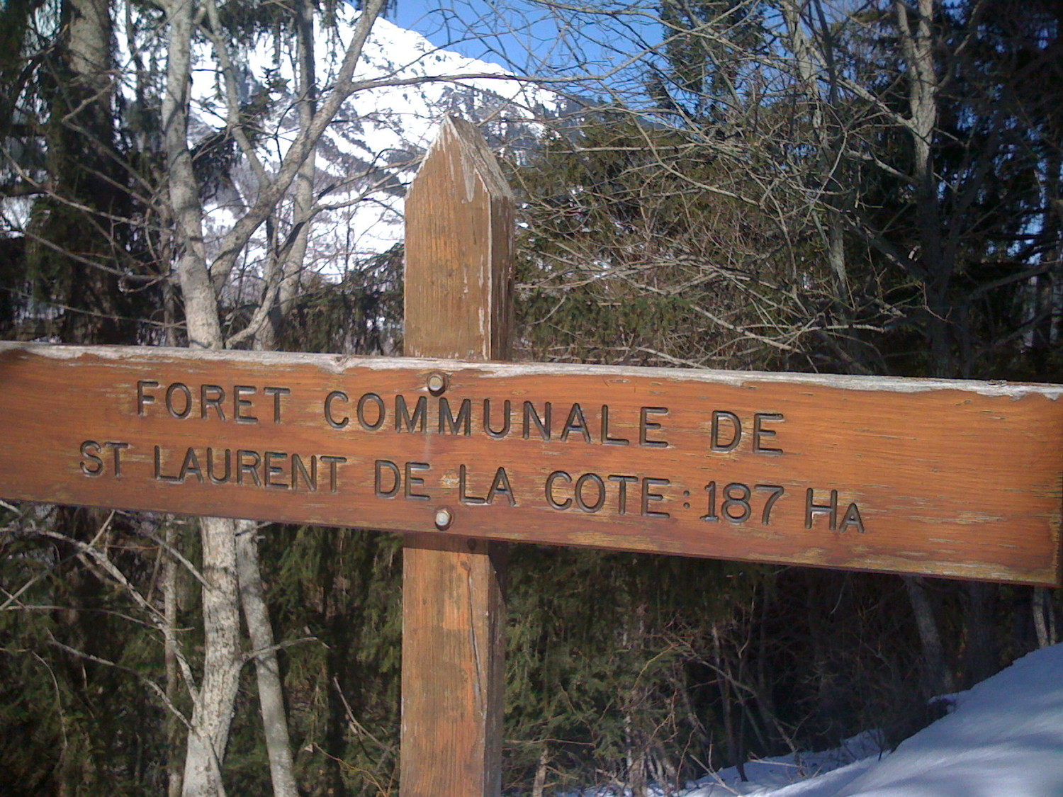 Entrée de la forêt de St Laurent