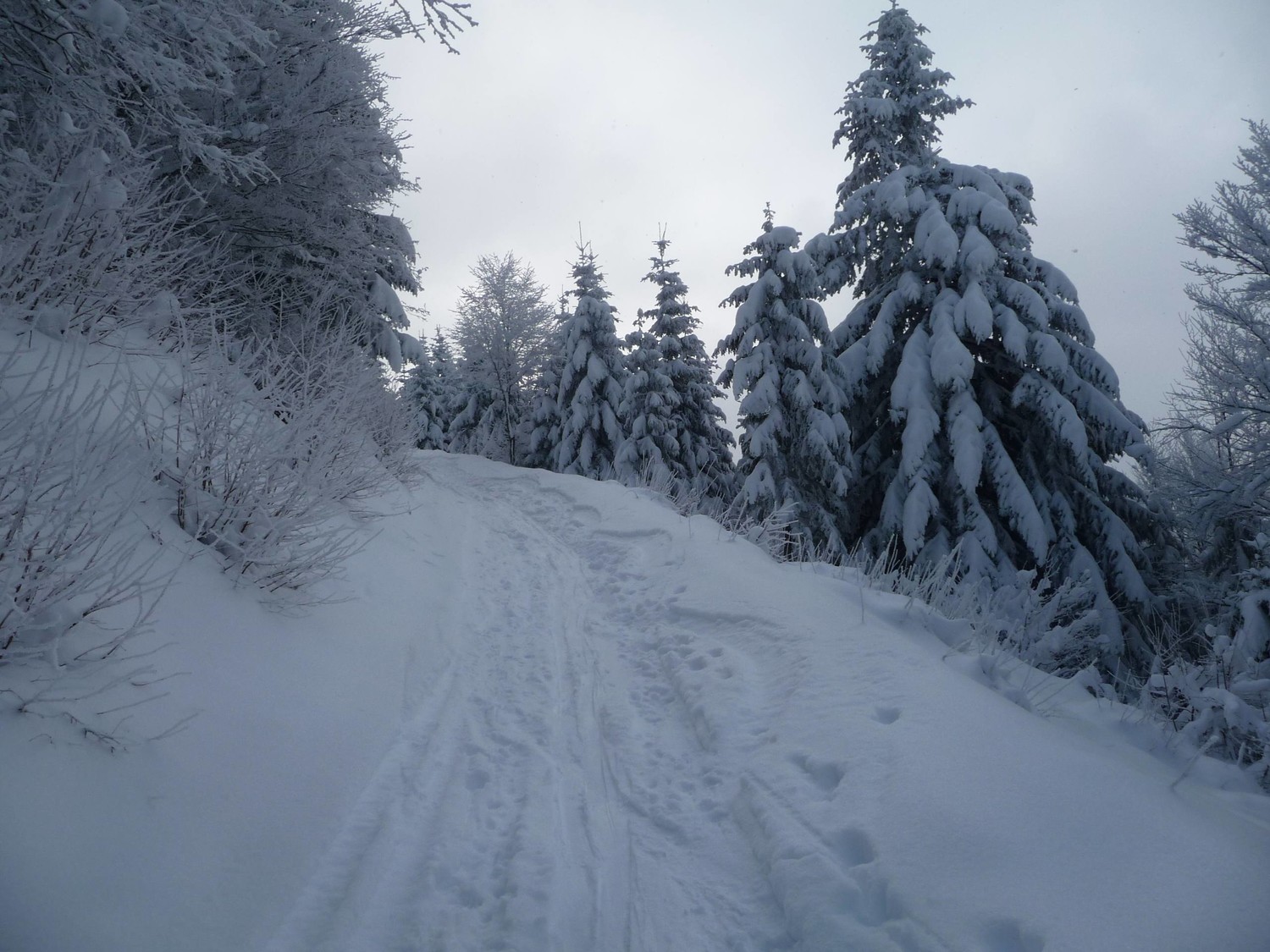 chemin en neige de velours !