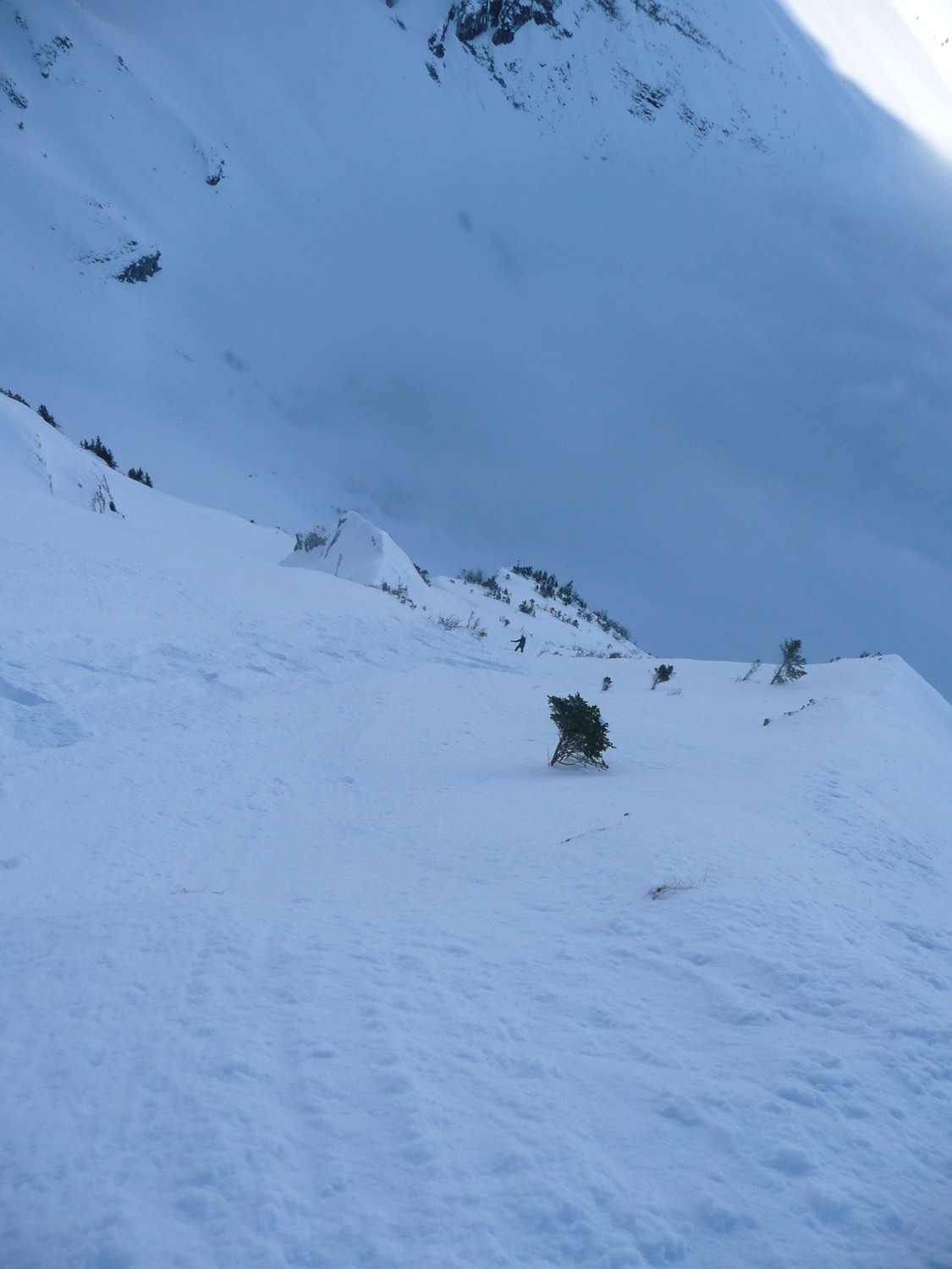 Tonio dans le bas de la face