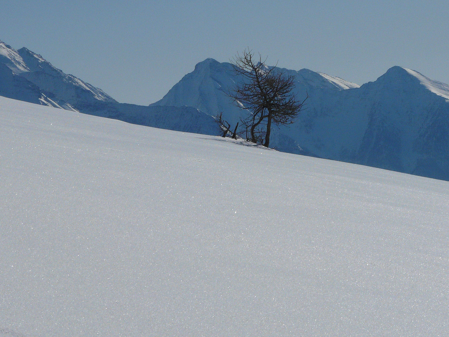 Et encore des sommets à skier à l'horizon