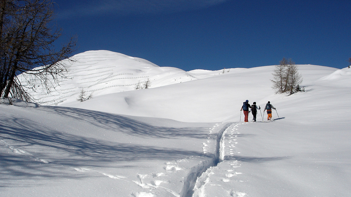 usciti dal bosco appare la dorsale orientale della Cima Boai