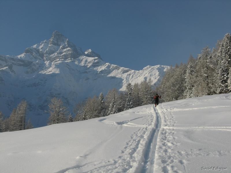 La Cime de l'Est qui nous accompagne pendant la montée