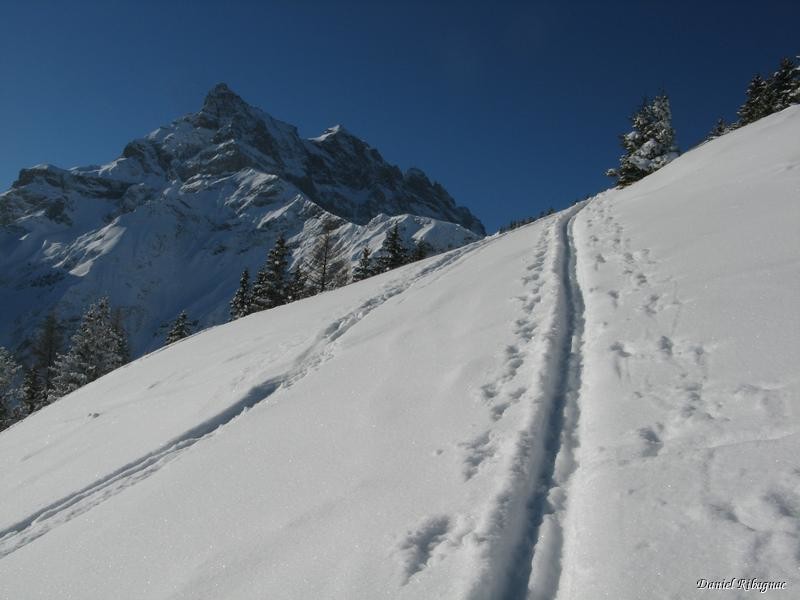 Les Dents du Midi