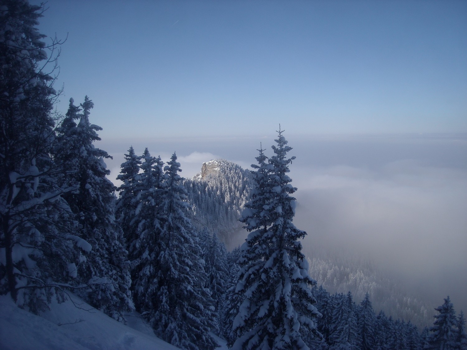Vue hivernale.