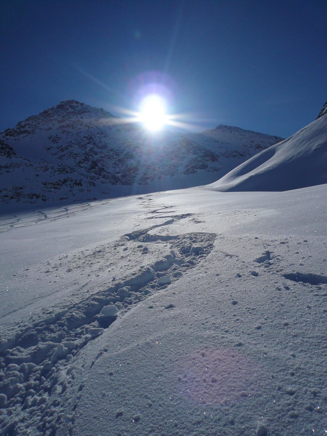 Firme in contro luce