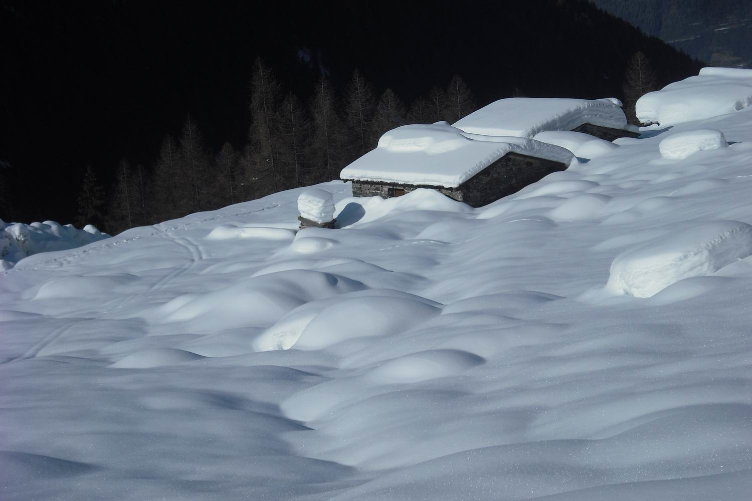 Malga Monte Basso