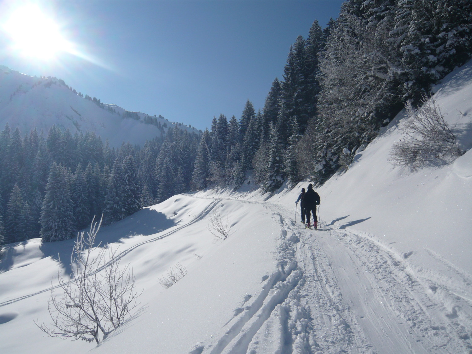 Dans le vallon sous le col de Golèze
