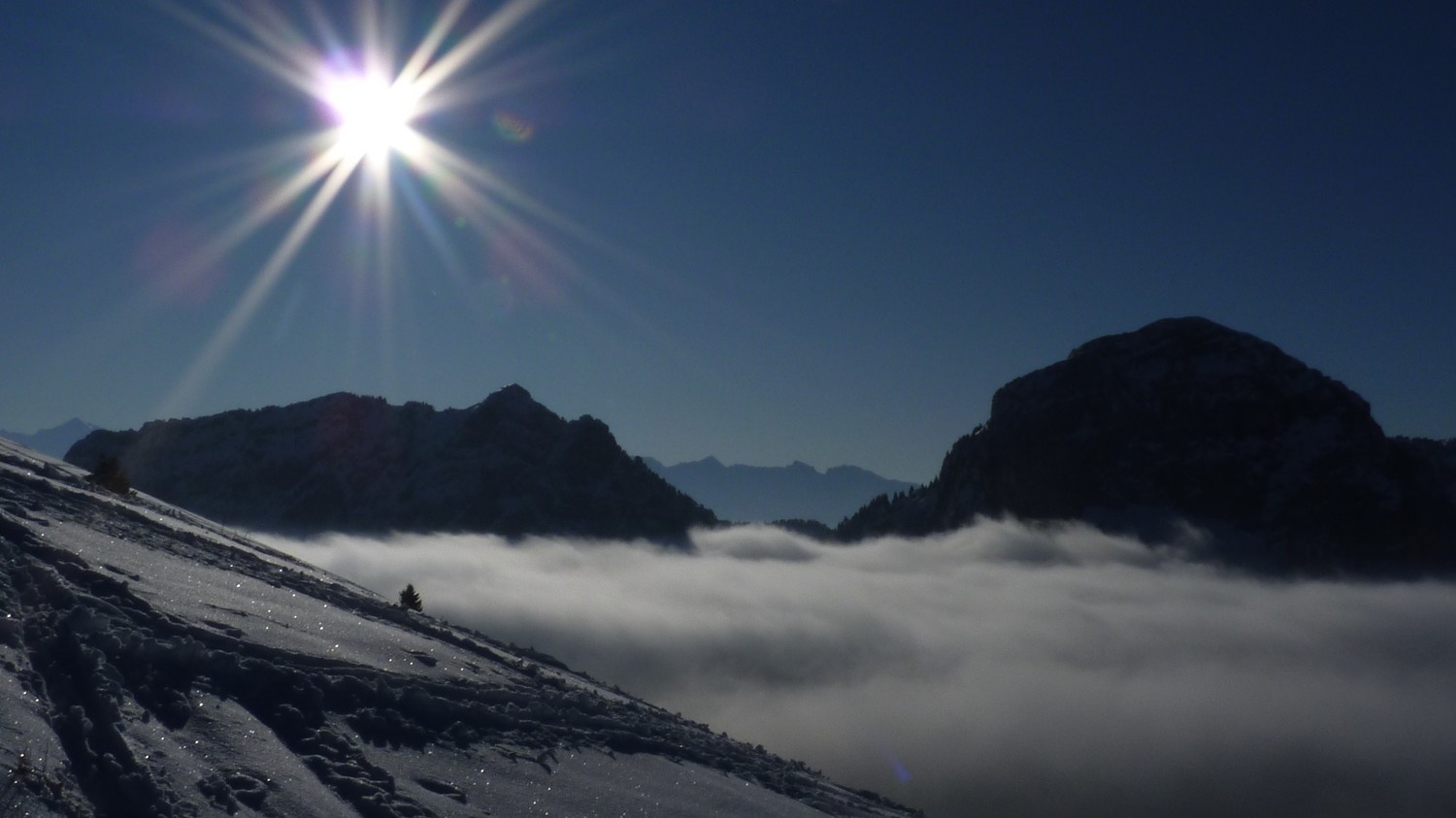 la parnale