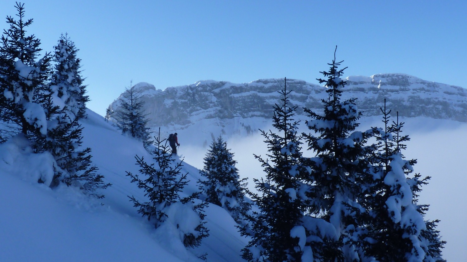 face w, très bonne neige