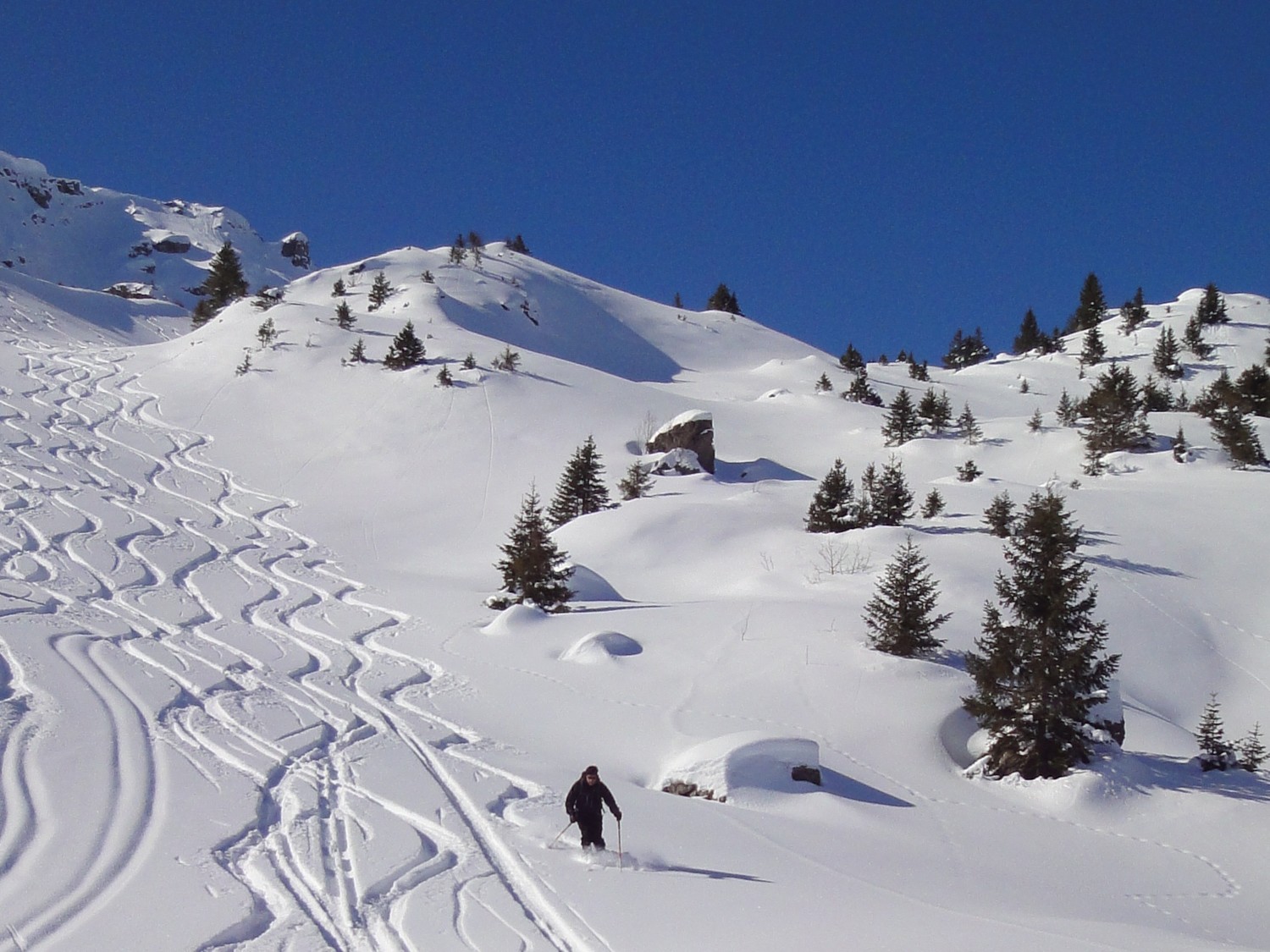 Belle poudreuse : Jo