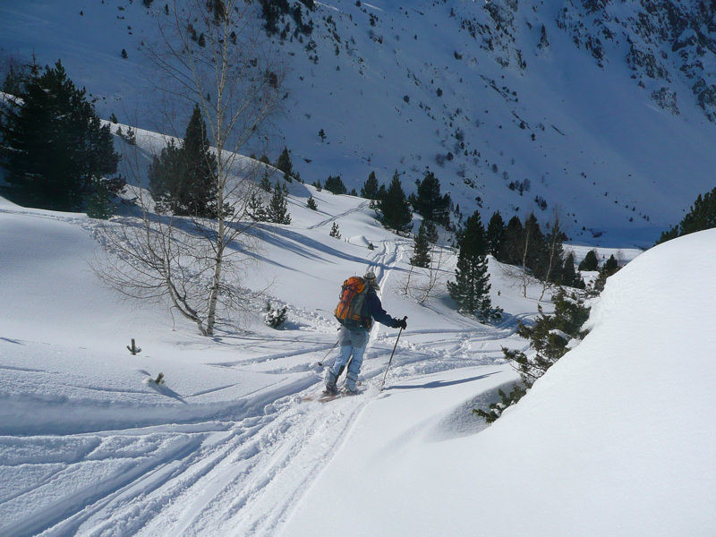 Bas du vallon d'Aygues Cluse: toujours bon.