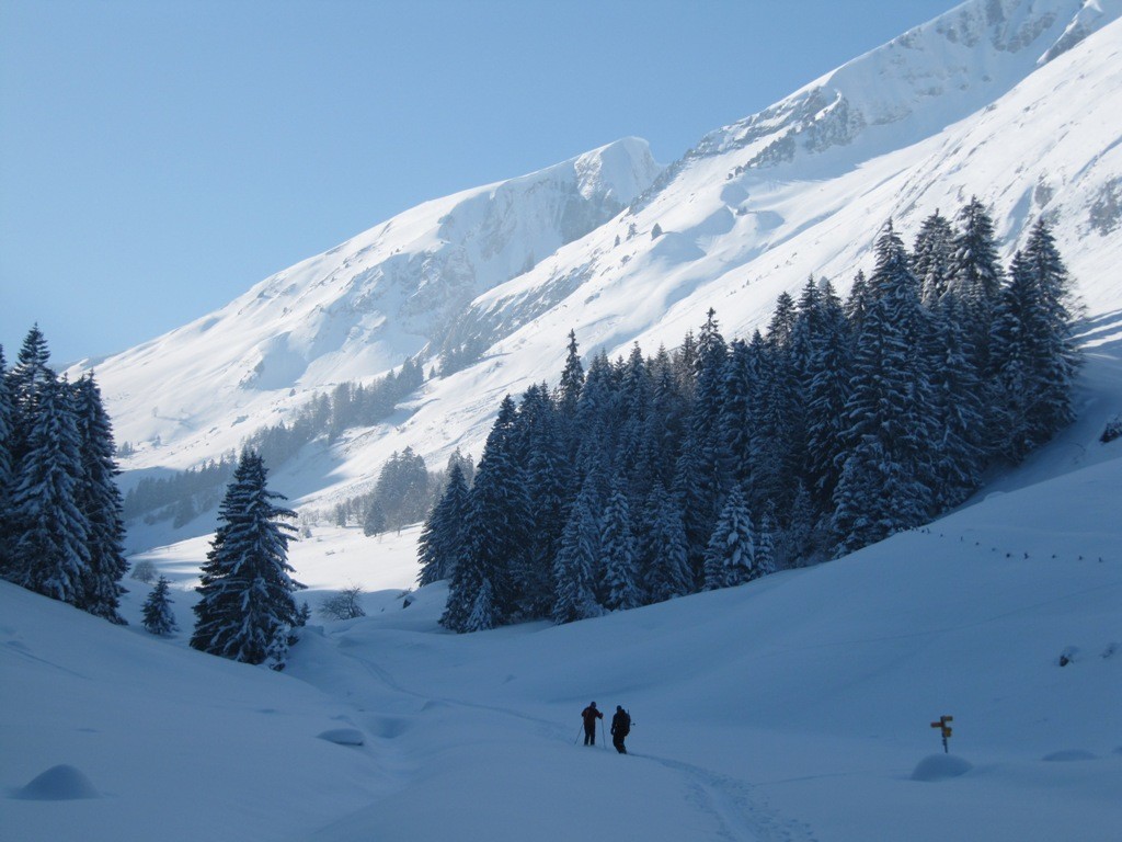 Retour dans le rigo