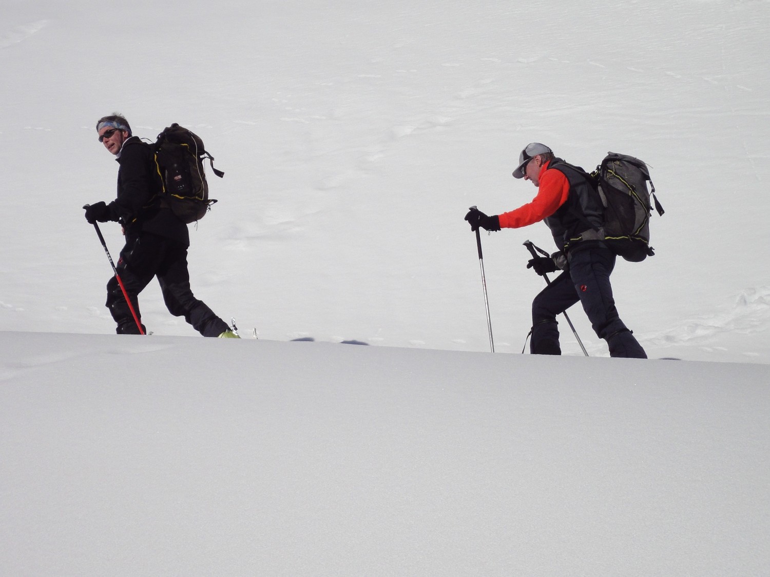 Trace dans la poudreuse