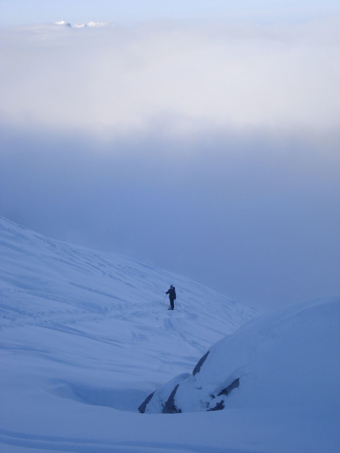 Sortie de brume