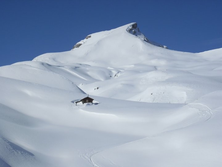 LA VETTA