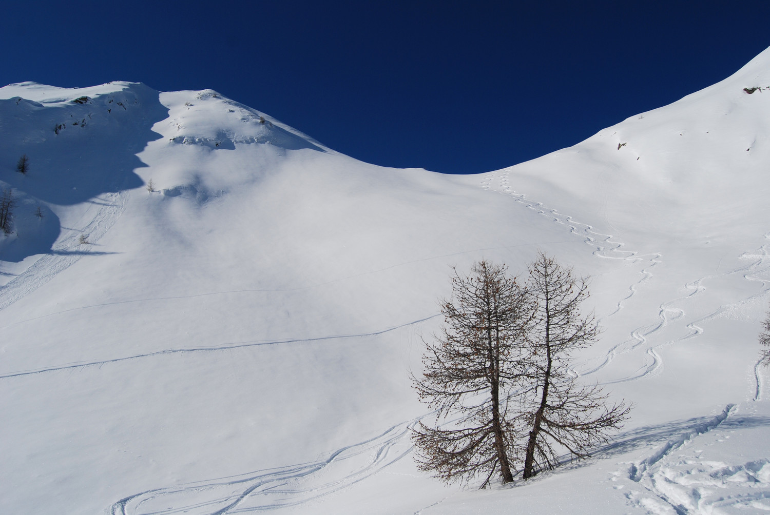 Il ripido e potezialmente pericoloso pendio E sottostante la Bocchetta della Maiona al Pizzo di Olano 2267 m.